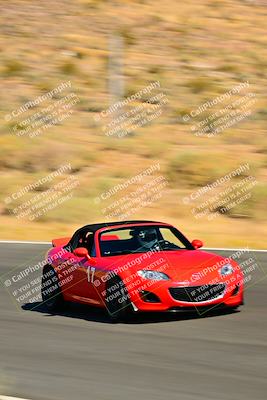 media/Sep-25-2024-Open Track Racing (Wed) [[e97609b8b7]]/Blue Group/Session 2 (Turn 5)/